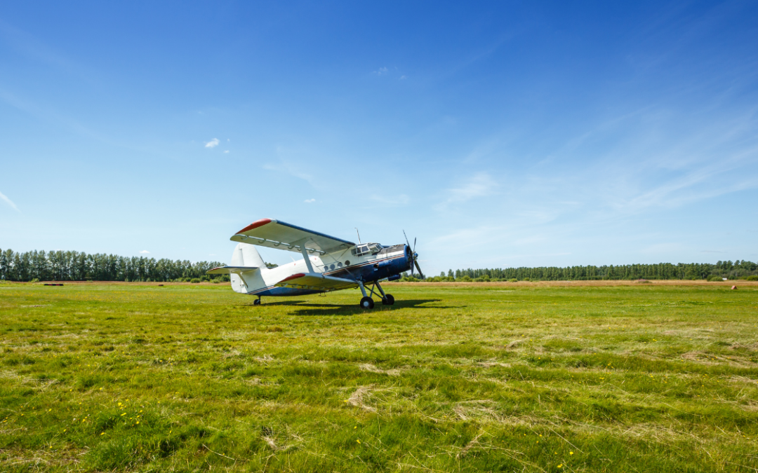 a small plane in a field
